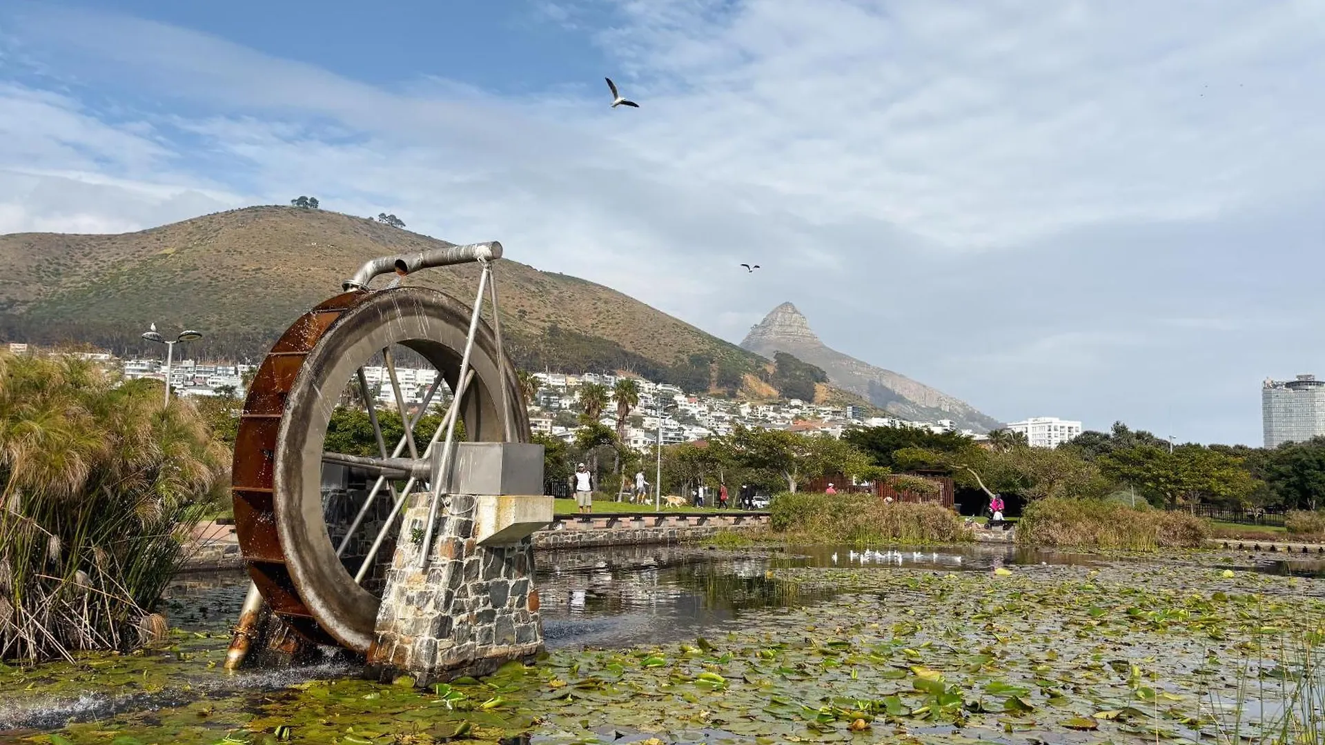 Cosy, Eclectic Apartment In Sea Point Le Cap